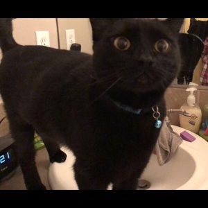 Meet your Posher, Julia